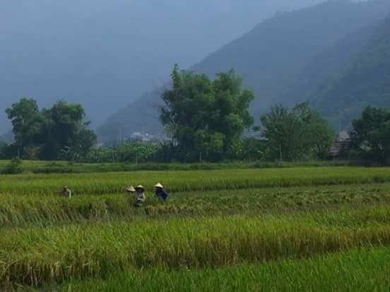 Linh Soi Homestay Mai Châu Kültér fotó