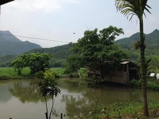 Linh Soi Homestay Mai Châu Kültér fotó